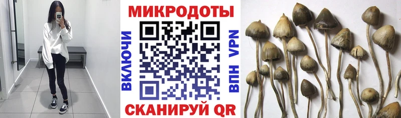 даркнет сайт  Луховицы  KRAKEN ONION  Псилоцибиновые грибы мухоморы 